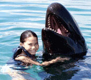 Subic Dolphins and Whales Encounter - Whales Islands Philippines